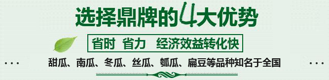 購買蔬菜種子，選擇鼎牌的四大優(yōu)勢