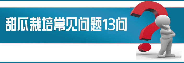 蔬菜種子栽培技術-<strong><font color='#006428'>甜瓜栽培常見問題13問？</font></strong>
